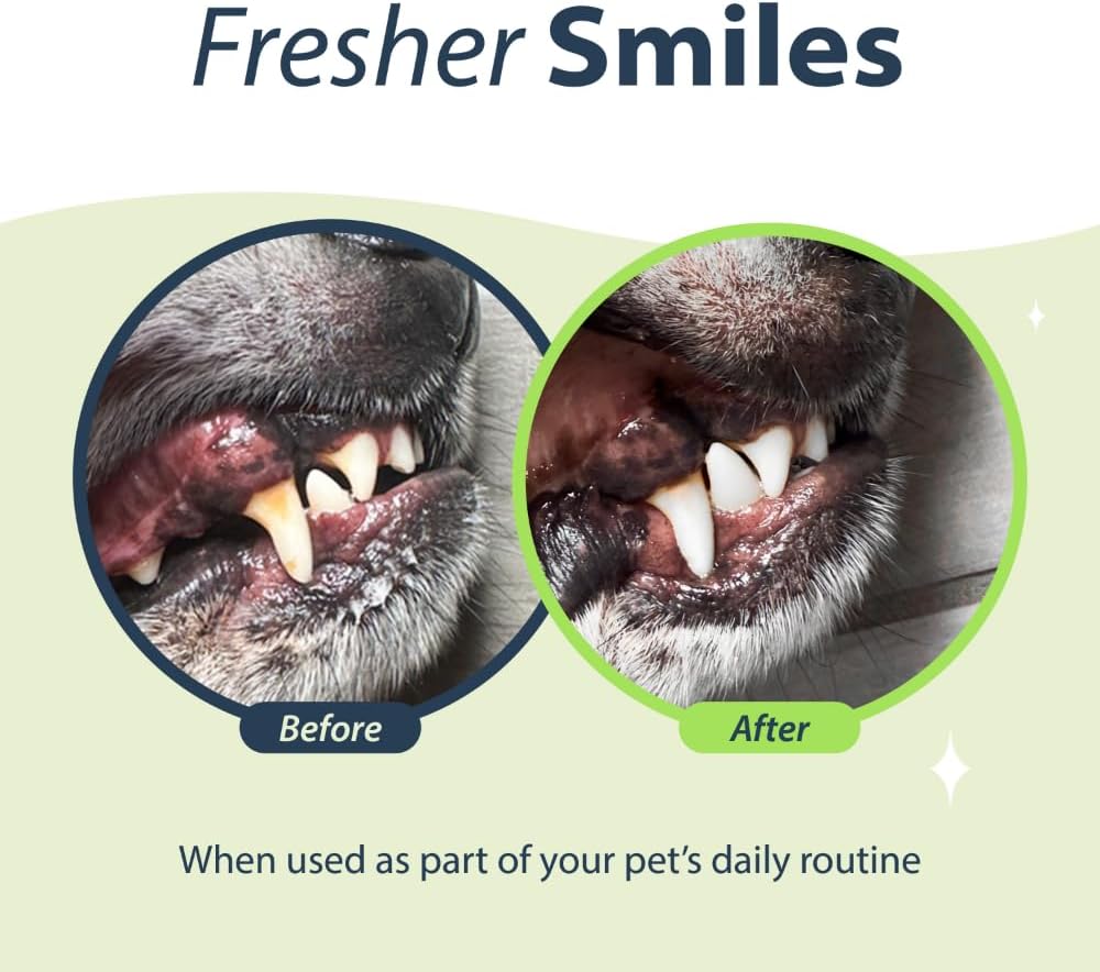 Dental Fresh Water Additive for Cats Original Formula 8 Fl.Oz.