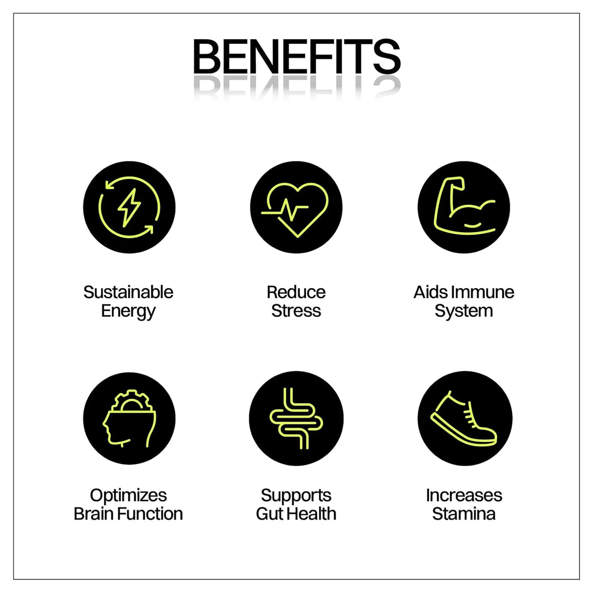 MOTIV MATCHA - Motiv Matcha Gummies 30 Gomitas - The Red Vitamin MX - Suplementos Alimenticios - {{ shop.shopifyCountryName }}