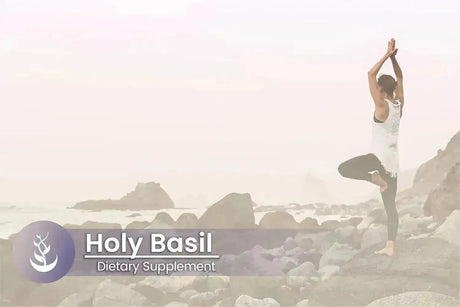 PURE ORIGINAL INGREDIENTS - Pure Original Ingredients Holy Basil 100 Capsulas - The Red Vitamin MX - Suplementos Alimenticios - {{ shop.shopifyCountryName }}