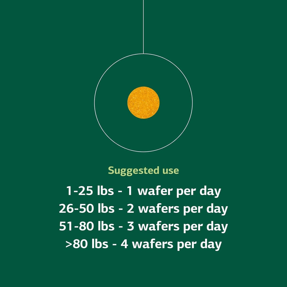 Standard Process Inc. Canine Flex Support 100 Masticables