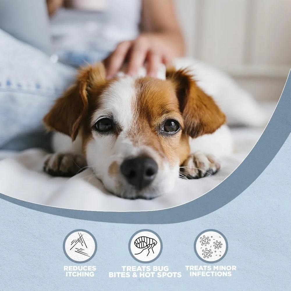 FARM DOG NATURALS - Farm Dog Naturals Restore Wound Care and Itch Relief Salve for Dogs 2 Oz. - The Red Vitamin MX - Remedios Para La Picazón De Perros - {{ shop.shopifyCountryName }}