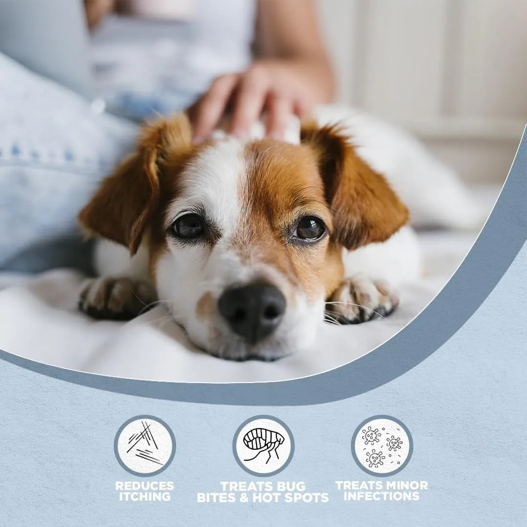 FARM DOG NATURALS - Farm Dog Naturals Restore Wound Care and Itch Relief Salve for Dogs 2 Oz. - The Red Vitamin MX - Remedios Para La Picazón De Perros - {{ shop.shopifyCountryName }}