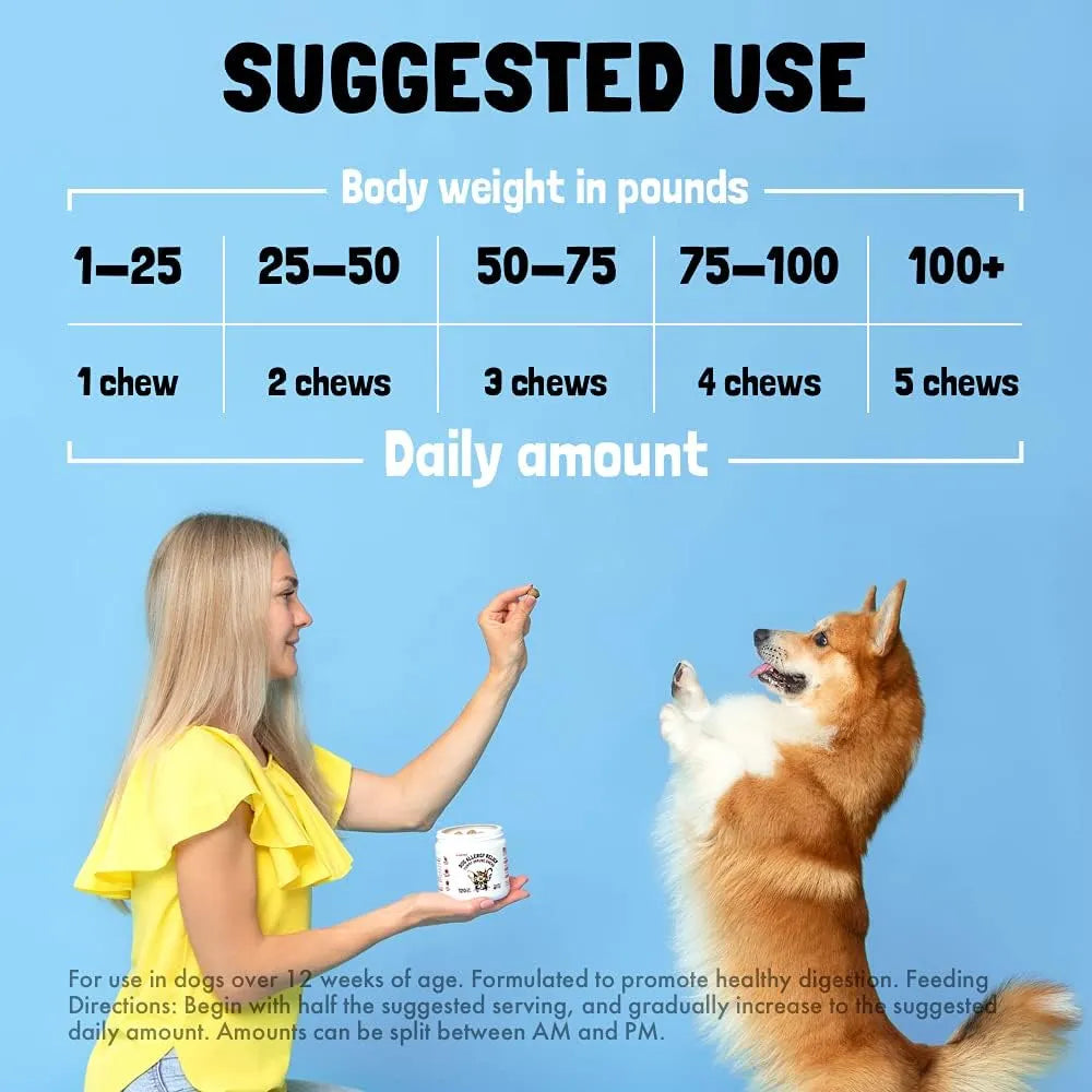 LEGIPET - LEGITPET Dog Vitamins 30 Masticables - The Red Vitamin MX - Multivitamínicos Para Perros - {{ shop.shopifyCountryName }}