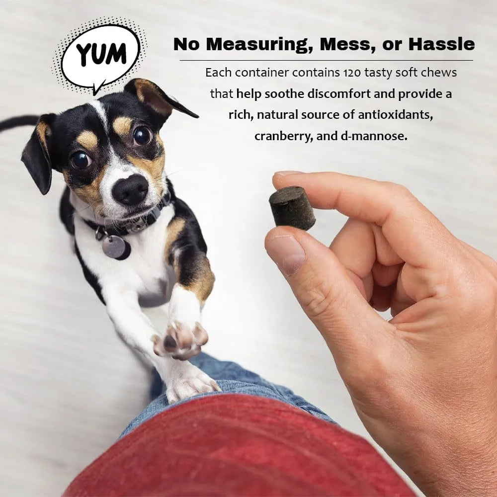 PET HEALTH SOLUTIONS - Pet Health Solutions Cranberry D-Mannose Urinary Tract Supplement for Dogs 120 Tabletas Masticables - The Red Vitamin MX - Salud De Tracto Urinario Para Perros - {{ shop.shopifyCountryName }}