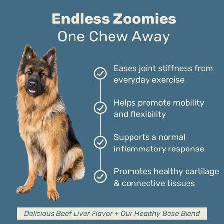 CANINE KEEPS - Canine Keeps Dog Hip and Joint Supplement 90 Masticables - The Red Vitamin MX - Cuidado De Cadera Y Articulaciones Para Perros - {{ shop.shopifyCountryName }}