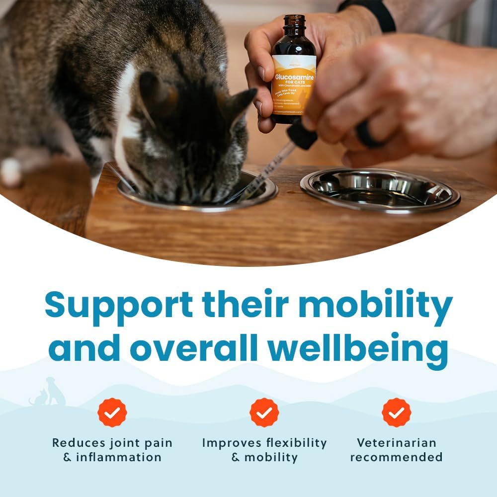 Paramount Pet Health 100% Natural Liquid Glucosamine Chondroitin with MSM for Cats 2 Fl.Oz.