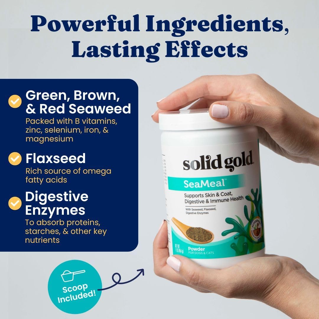 SOLID GOLD - Solid Gold SeaMeal Multivitamin Powder 454Gr. - The Red Vitamin MX - Multivitamínicos Para Perros - {{ shop.shopifyCountryName }}