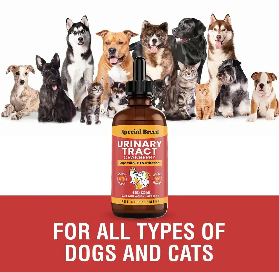 SPECIAL BREED - Special Breed Urinary Tract Infection Treatment for Cats and Dogs 4 Fl.Oz. - The Red Vitamin MX - Salud De Tracto Urinario Para Perros - {{ shop.shopifyCountryName }}
