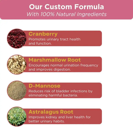 PAWVITAL - PawVital Cranberry Dog UTI Chews with D Mannose 90 Masticables - The Red Vitamin MX - Salud De Tracto Urinario Para Perros - {{ shop.shopifyCountryName }}