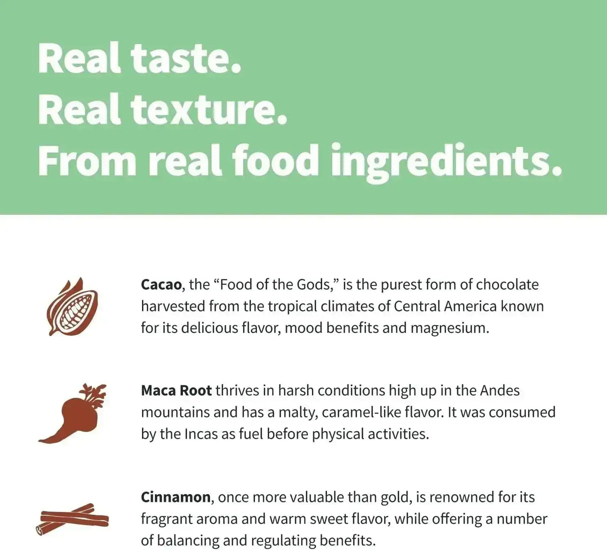 SPROUT LIVING - Sprout Living Epic Protein Plant Based Protein & Superfoods Powder Chocolate Maca 456Gr. - The Red Vitamin MX - Suplementos Alimenticios - {{ shop.shopifyCountryName }}