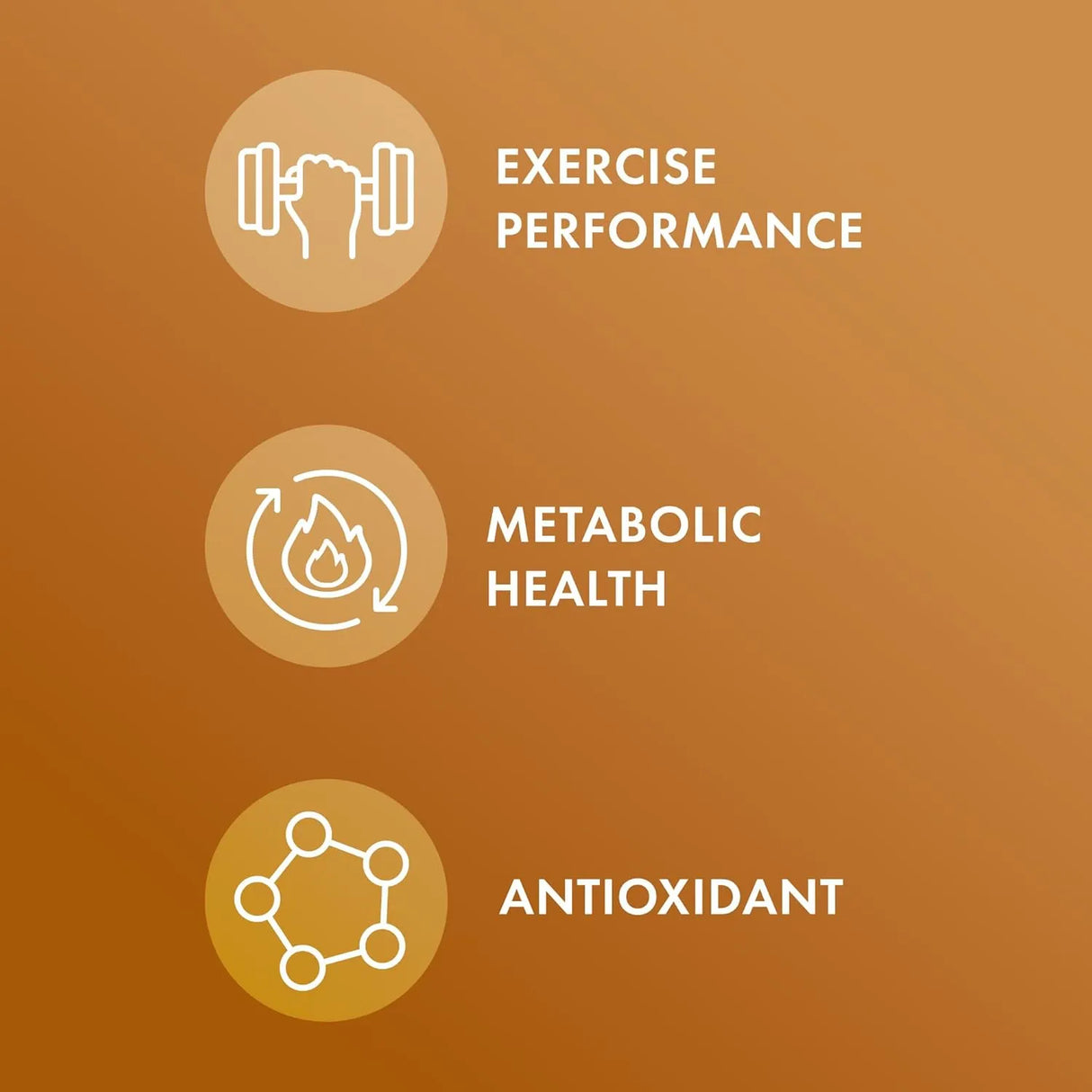 DR MERCOLA - Dr. Mercola Liposomal Carnosine 250Mg. 30 Capsulas - The Red Vitamin MX - Suplementos Alimenticios - {{ shop.shopifyCountryName }}