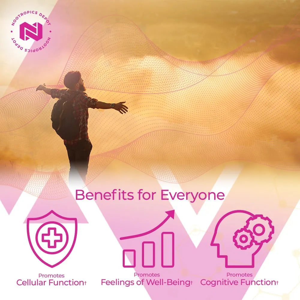 NOOTROPICS DEPOT - Nootropics Depot Berberine HCL + Silymarin 180 Capsulas - The Red Vitamin MX - Suplementos Alimenticios - {{ shop.shopifyCountryName }}