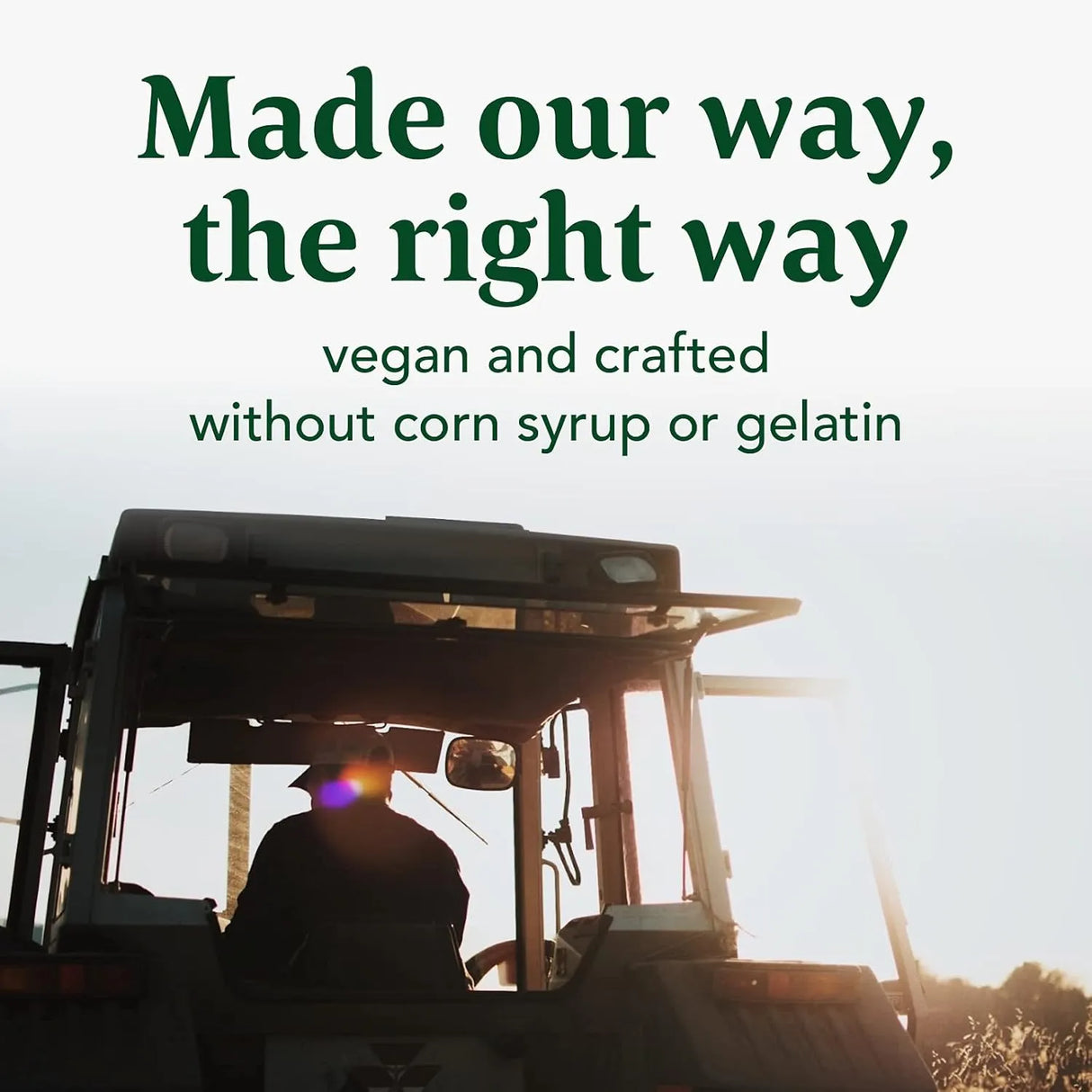 MEGAFOOD - MegaFood Melatonin Gummies 3Mg. Berry Flavor 54 Gomitas 3 Pack - The Red Vitamin MX - Suplementos Alimenticios - {{ shop.shopifyCountryName }}