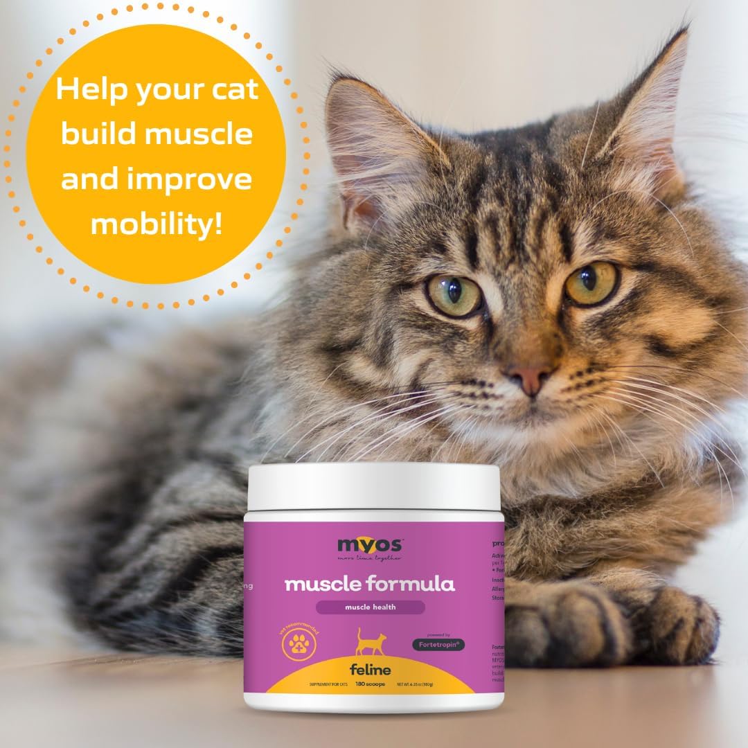MYOS Feline Muscle Formula Powered by Fortetropin for Senior Cats 180 Servicios 180Gr.