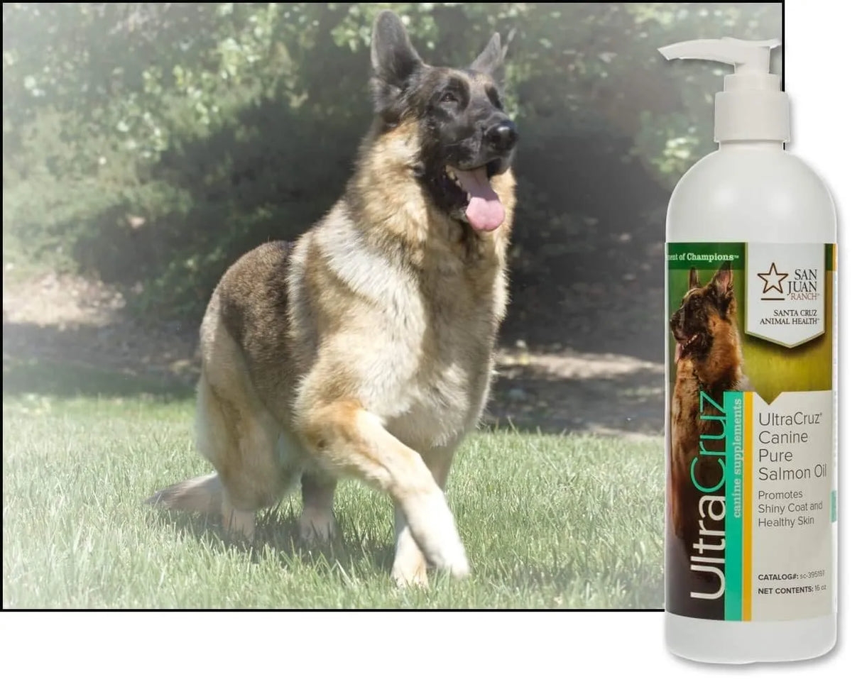 ULTRACRUZ - UltraCruz Canine Pure Salmon Oil Supplement for Dogs 16 Fl.Oz. - The Red Vitamin MX - Aceite De Pescado Para Perros - {{ shop.shopifyCountryName }}