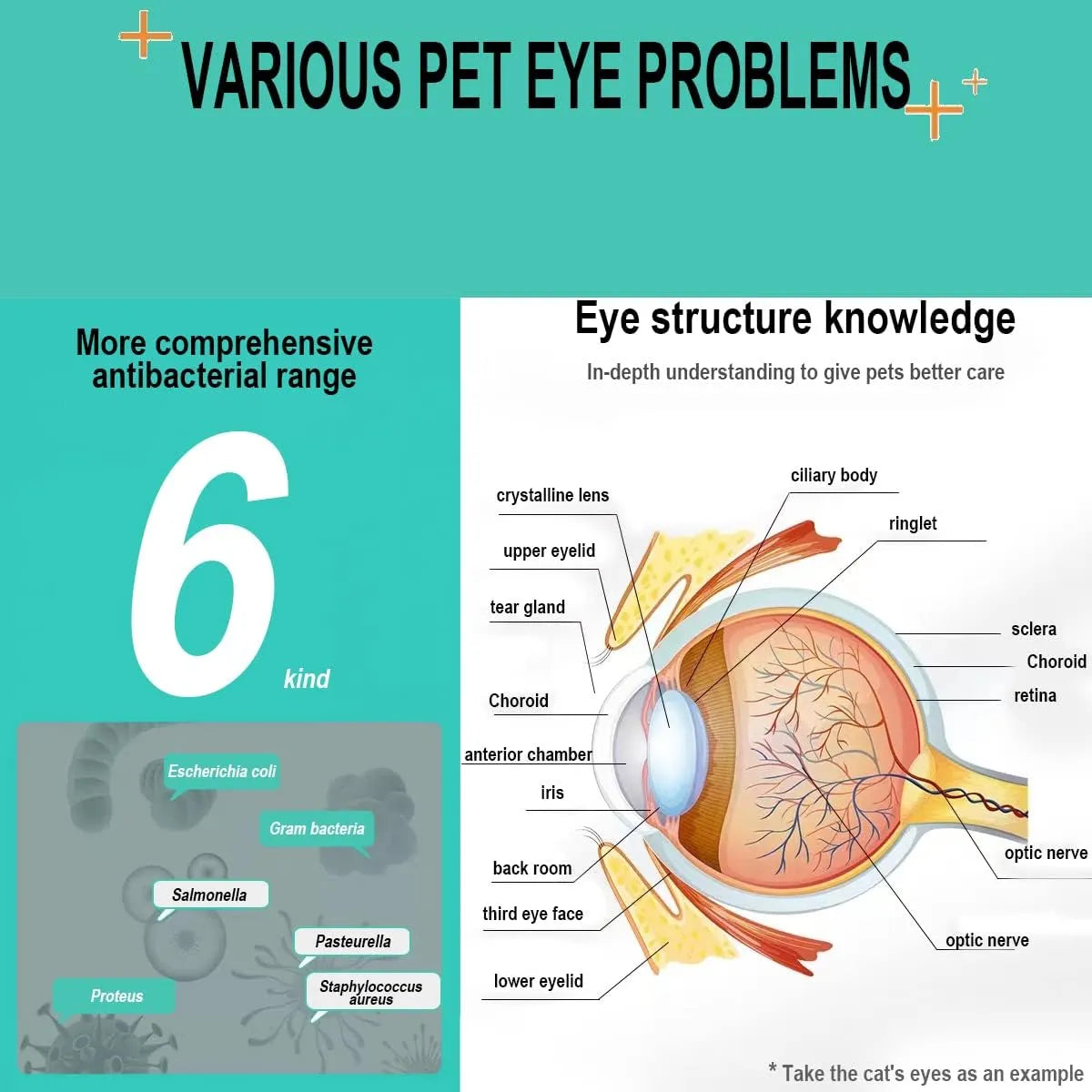 VEZE - VEZE Eye Drops for Dogs 60Ml. - The Red Vitamin MX - Cuidado De Los Ojos De Los Perros - {{ shop.shopifyCountryName }}