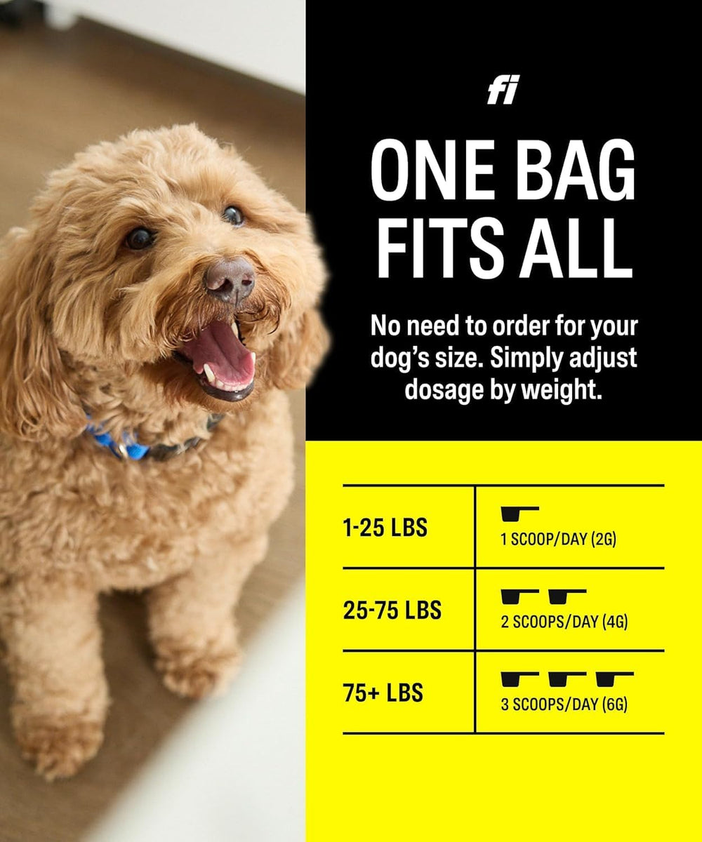 FI - Fi 8-in-1 Dog Supplement Powder 90 Servicios 180Gr. - The Red Vitamin MX - Suplementos Herbales Para Perros - {{ shop.shopifyCountryName }}