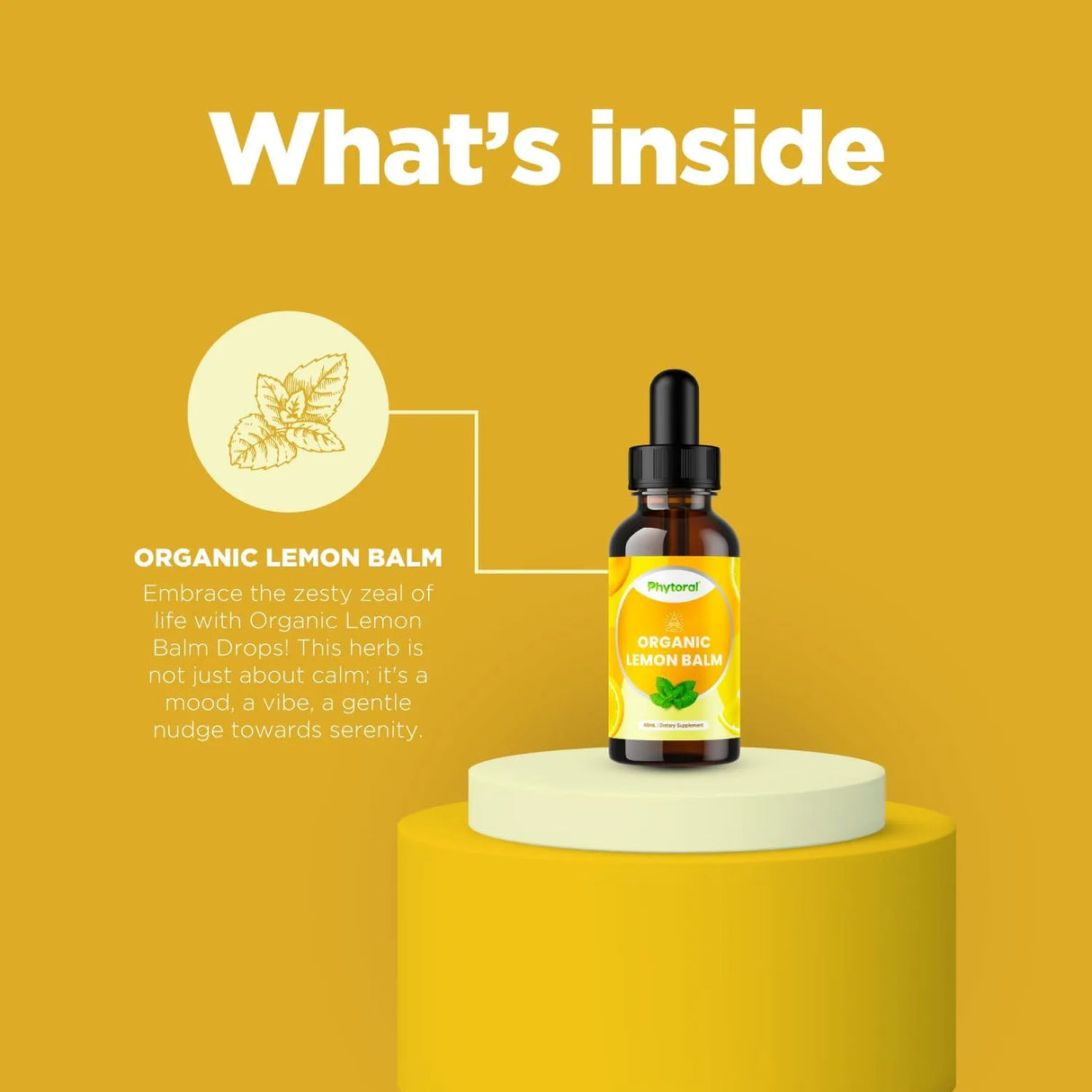 PHYTORAL - Phytoral Lemon Balm Extract 60Ml. 2 Pack - The Red Vitamin MX - Suplementos Alimenticios - {{ shop.shopifyCountryName }}