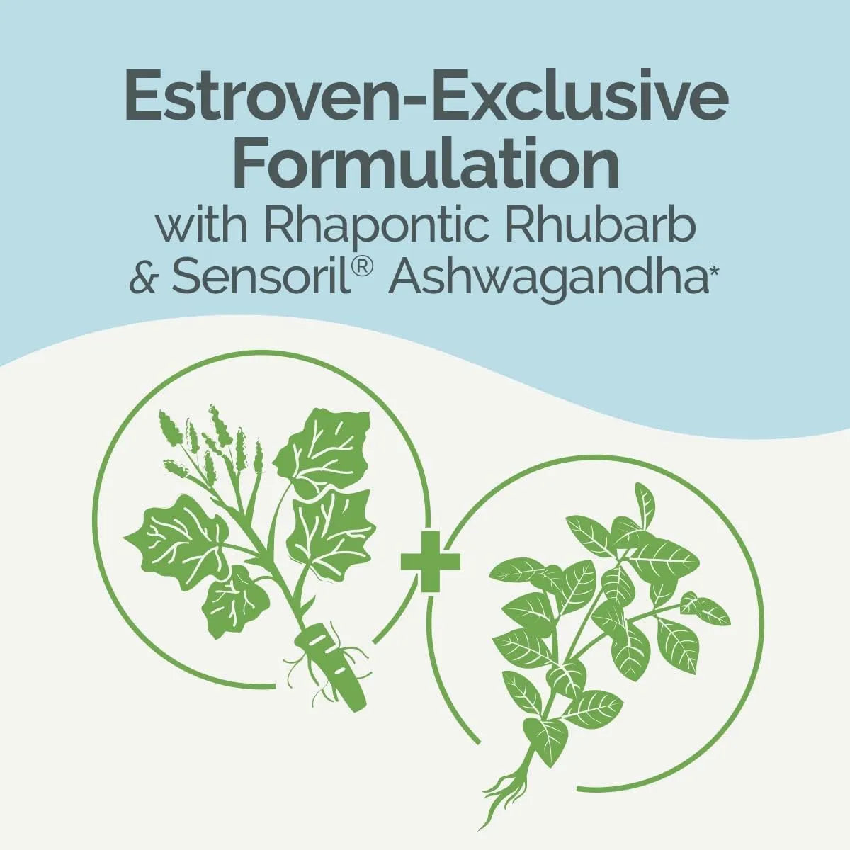 ESTROVEN - Estroven Complete + Ashwagandha Multi-Symptom Menopause Supplement 60 Tabletas - The Red Vitamin MX - Suplementos Alimenticios - {{ shop.shopifyCountryName }}