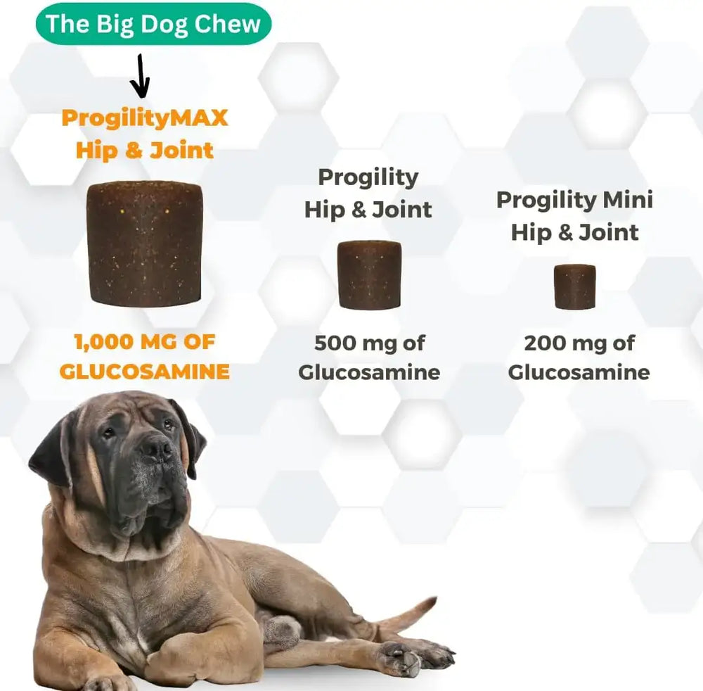 NOOTIE - Nootie ProgilityMAX Hip & Joint Supplement for Large Dogs 60 Masticables - The Red Vitamin MX - Cuidado De Cadera Y Articulaciones Para Perros - {{ shop.shopifyCountryName }}