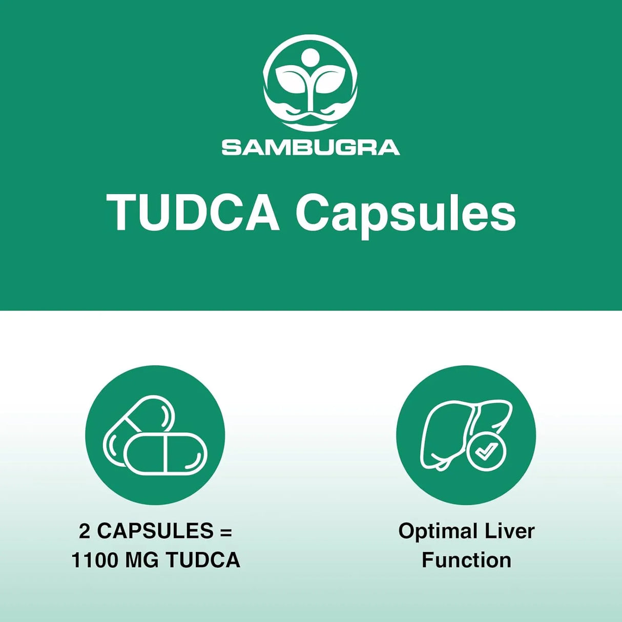 SAMBUGRA - Sambugra TUDCA Liver 1100Mg. 60 Capsulas - The Red Vitamin MX - Suplementos Alimenticios - {{ shop.shopifyCountryName }}