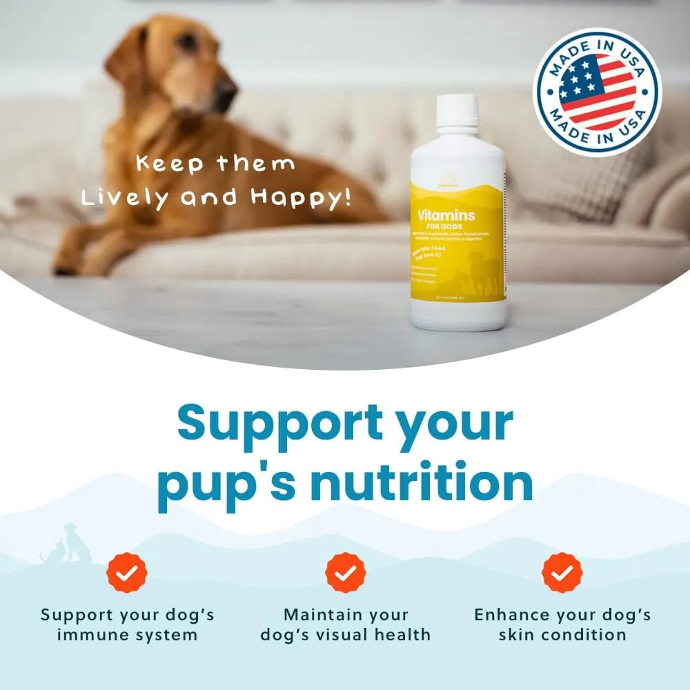 PARAMOUNT PET HEALTH - Paramount Pet Health Liquid Multivitamin for Dogs with Probiotics 473Ml. - The Red Vitamin MX - Multivitamínicos Para Perros - {{ shop.shopifyCountryName }}