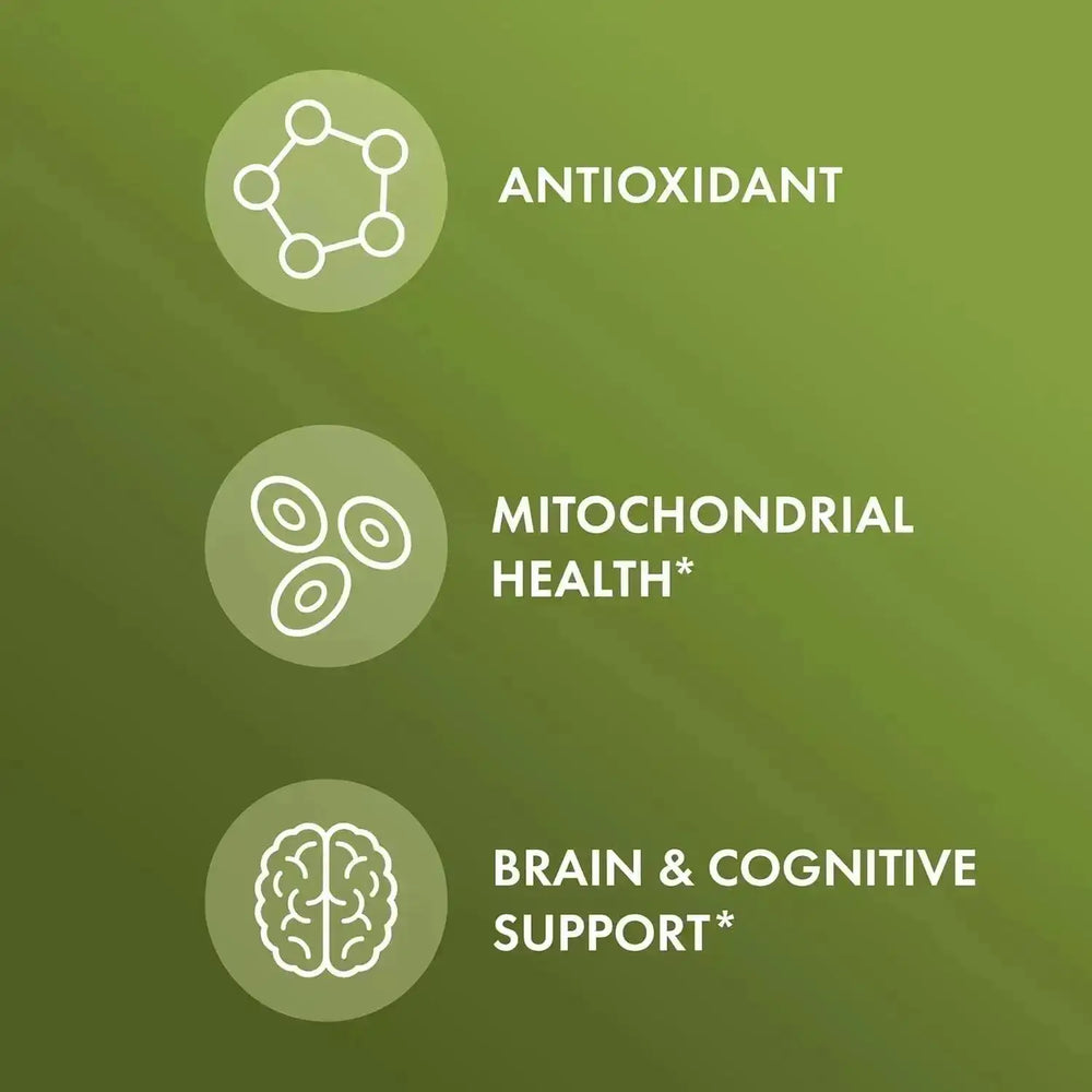 DR MERCOLA - Dr. Mercola Organic Ginkgo Biloba 30 Capsulas - The Red Vitamin MX - Suplementos Alimenticios - {{ shop.shopifyCountryName }}