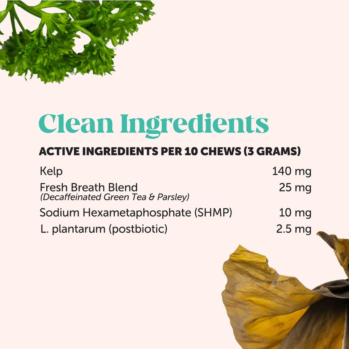 Pet Honesty Fresh Dental Bites for Cats 100Gr.