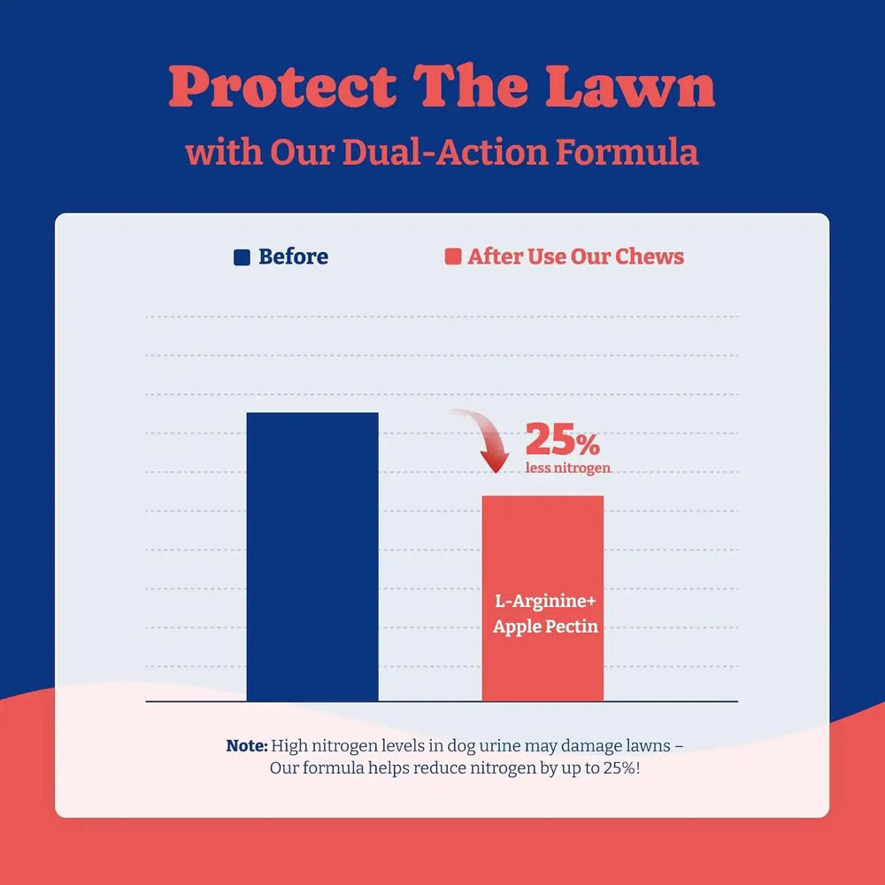 YOYOBAY - YoYoBay Dog Urine Neutralizer for Lawn 180 Masticables - The Red Vitamin MX - Salud De Tracto Urinario Para Perros - {{ shop.shopifyCountryName }}