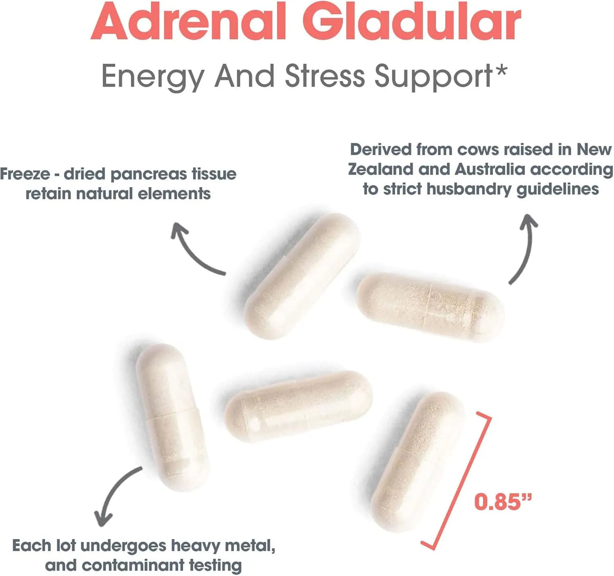 ALLERGY RESEARCH GROUP - Allergy Research Group Adrenal Support 150 Capsulas - The Red Vitamin MX - Suplementos Alimenticios - {{ shop.shopifyCountryName }}