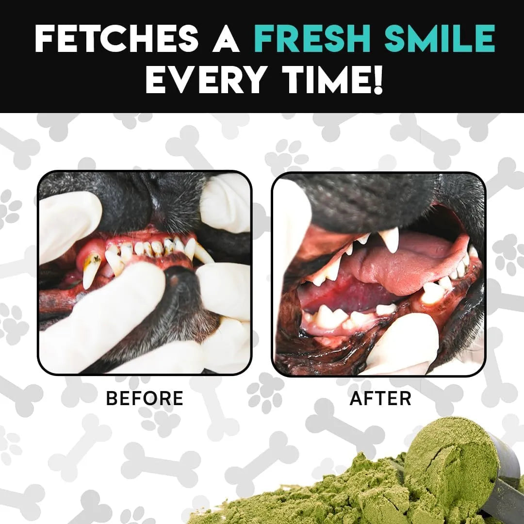 FRENCHIES VS EVERYBODY - Frenchies vs Everybody French Bulldog Optimized Dog Teeth Cleaning Powder 60 Servicios - The Red Vitamin MX - Cuidado Dental Para Perros - {{ shop.shopifyCountryName }}