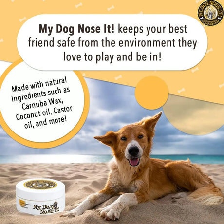 MY DOG NOSE IT - My Dog Nose It Moisturizing Sun Protection Balm for Dogs Noses 0.5 Oz. - The Red Vitamin MX - Remedios Para La Picazón De Perros - {{ shop.shopifyCountryName }}