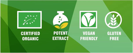 PHARMAKON - PHARMAKON Organic White Mulberry Leaf 180 Capsulas - The Red Vitamin MX - Suplementos Alimenticios - {{ shop.shopifyCountryName }}