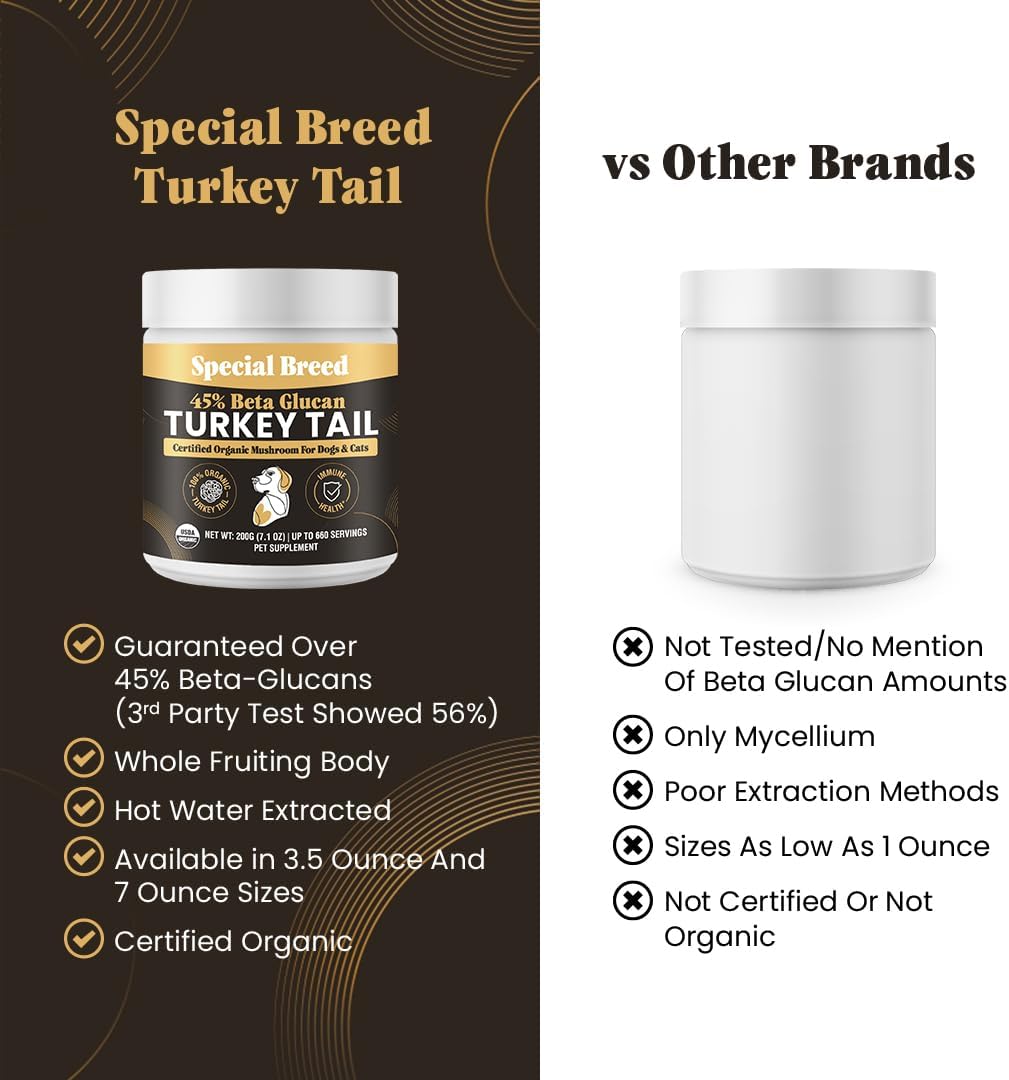 SPECIAL BREED - Special Breed Organic Turkey Tail Mushroom for Dogs 200Gr. - The Red Vitamin MX - Suplementos Herbales Para Perros - {{ shop.shopifyCountryName }}