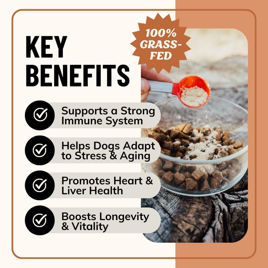 FIDO'S - Fido's Longevity Bone Broth for Dogs Turkey Tail + Maitake Mushroom 60 Servicios 184Gr. - The Red Vitamin MX - Suplementos Herbales Para Perros - {{ shop.shopifyCountryName }}