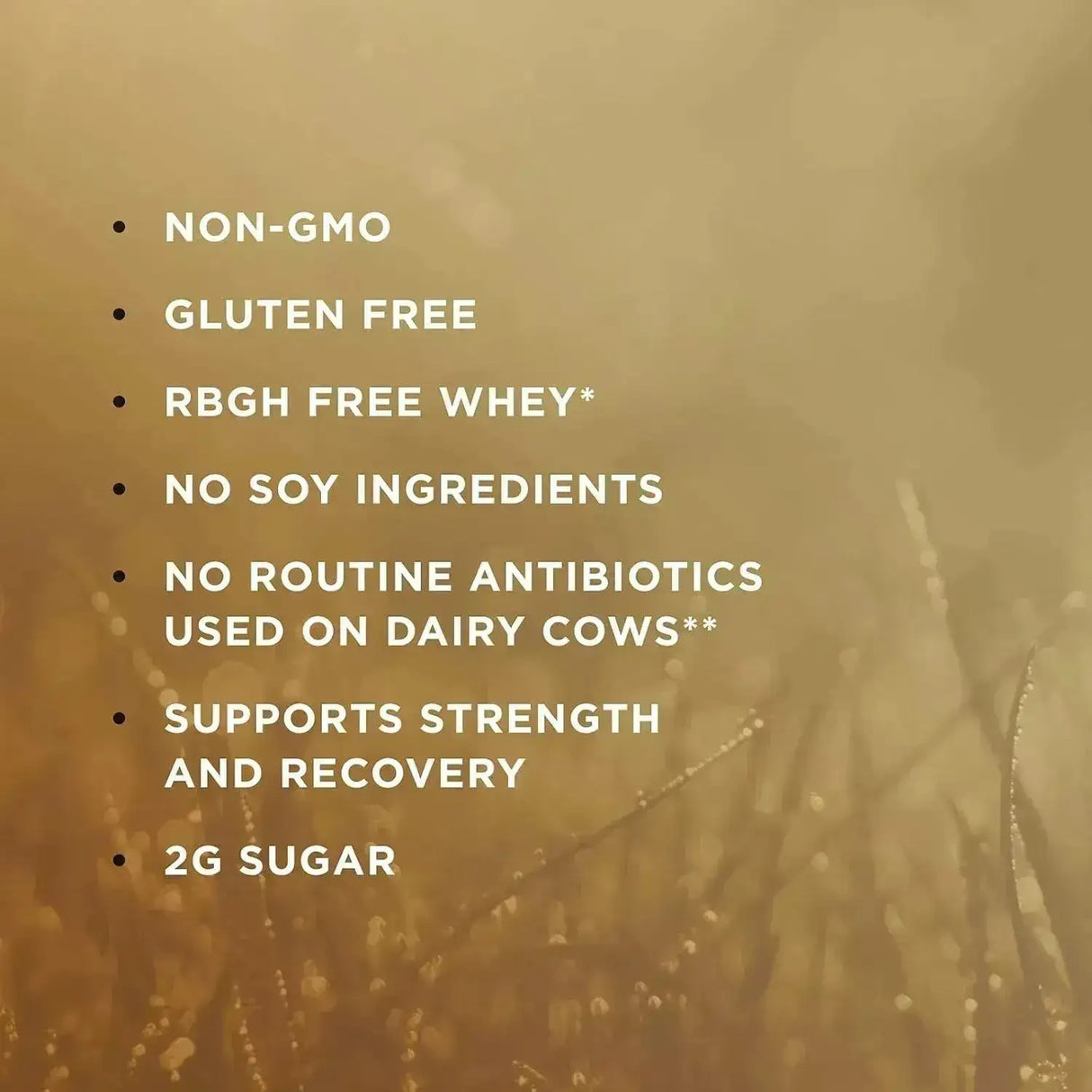 SOLGAR - Solgar Grass Fed Whey to Go Protein Powder Unflavored 2.3 Lb. - The Red Vitamin MX - Suplementos Alimenticios - {{ shop.shopifyCountryName }}