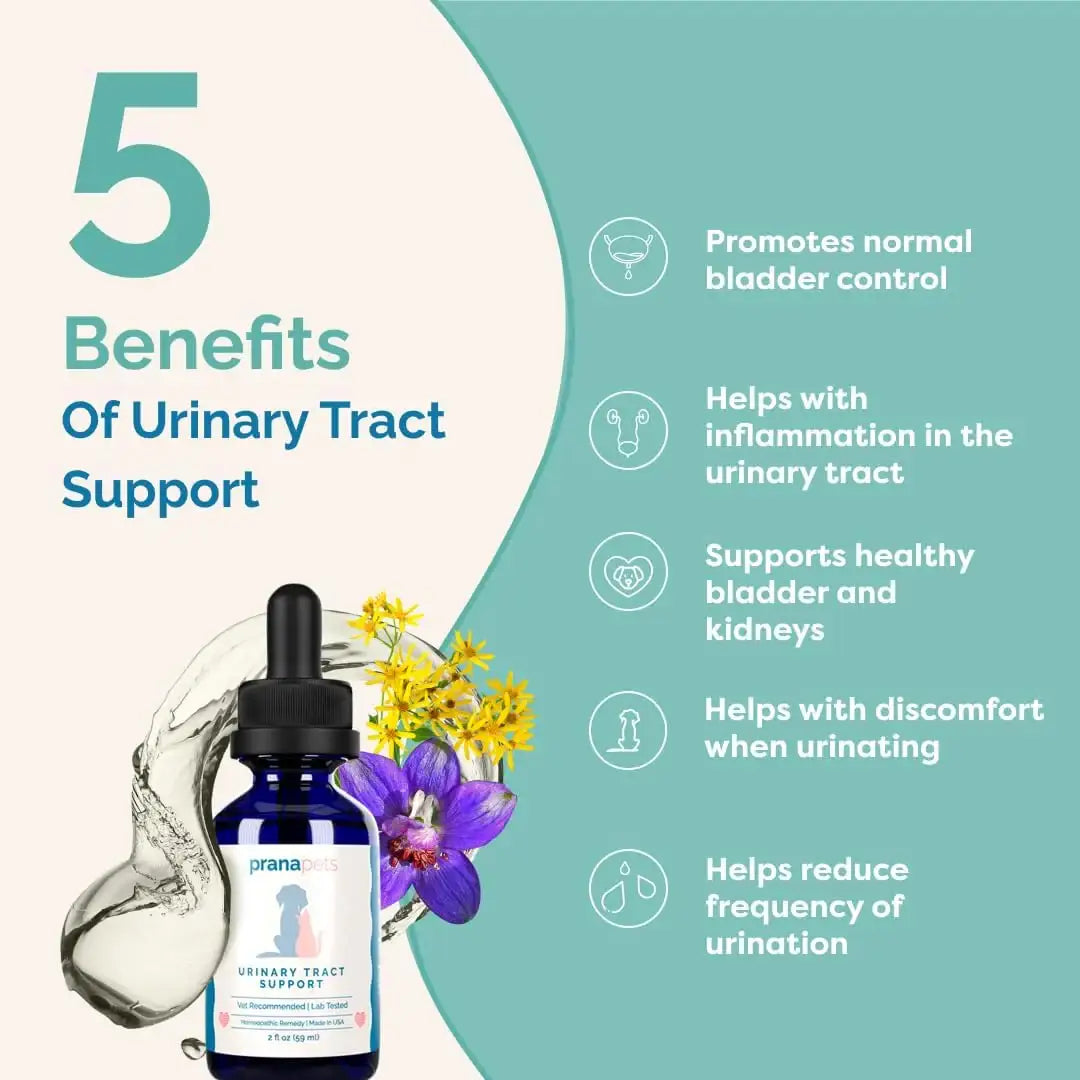 PRANAPETS - PranaPets Urinary Tract Support Liquid Supplement for Pets 2 Fl.Oz. - The Red Vitamin MX - Salud De Tracto Urinario Para Perros - {{ shop.shopifyCountryName }}