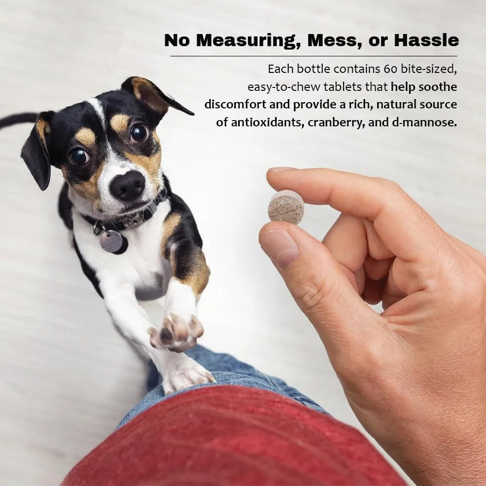 PET HEALTH SOLUTIONS - Pet Health Solutions Cranberry D-Mannose Urinary Tract Supplement for Dogs 60 Tabletas Masticables - The Red Vitamin MX - Salud De Tracto Urinario Para Perros - {{ shop.shopifyCountryName }}