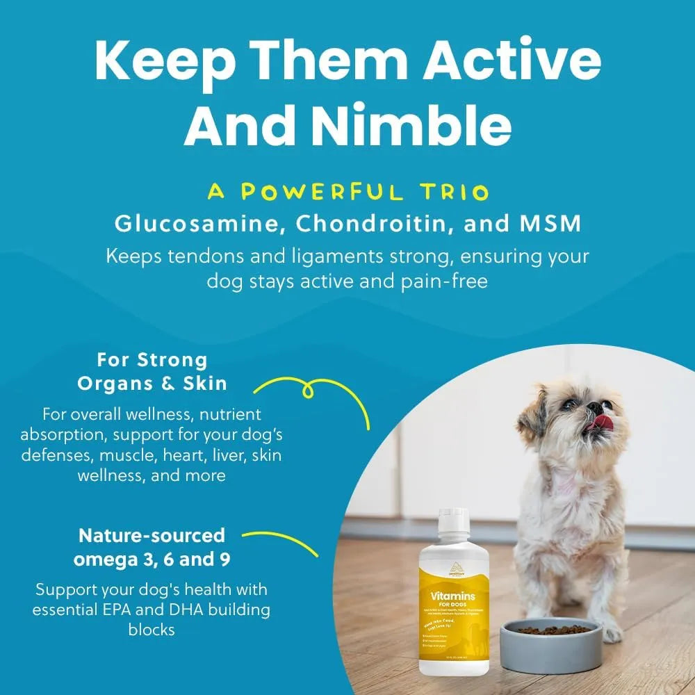 PARAMOUNT PET HEALTH - Paramount Pet Health Liquid Multivitamin for Dogs with Probiotics 946Ml. - The Red Vitamin MX - Multivitamínicos Para Perros - {{ shop.shopifyCountryName }}