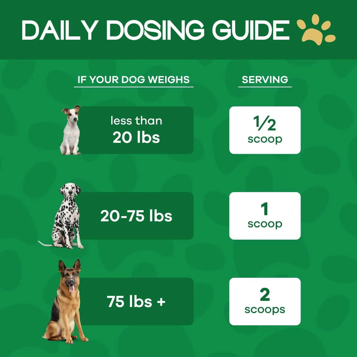 TRUECANINE - TrueCanine Wild Belly Dog Gut Health Probiotics 30 Servicios 60Gr. 3 Pack - The Red Vitamin MX - Probióticos Para Perros - {{ shop.shopifyCountryName }}