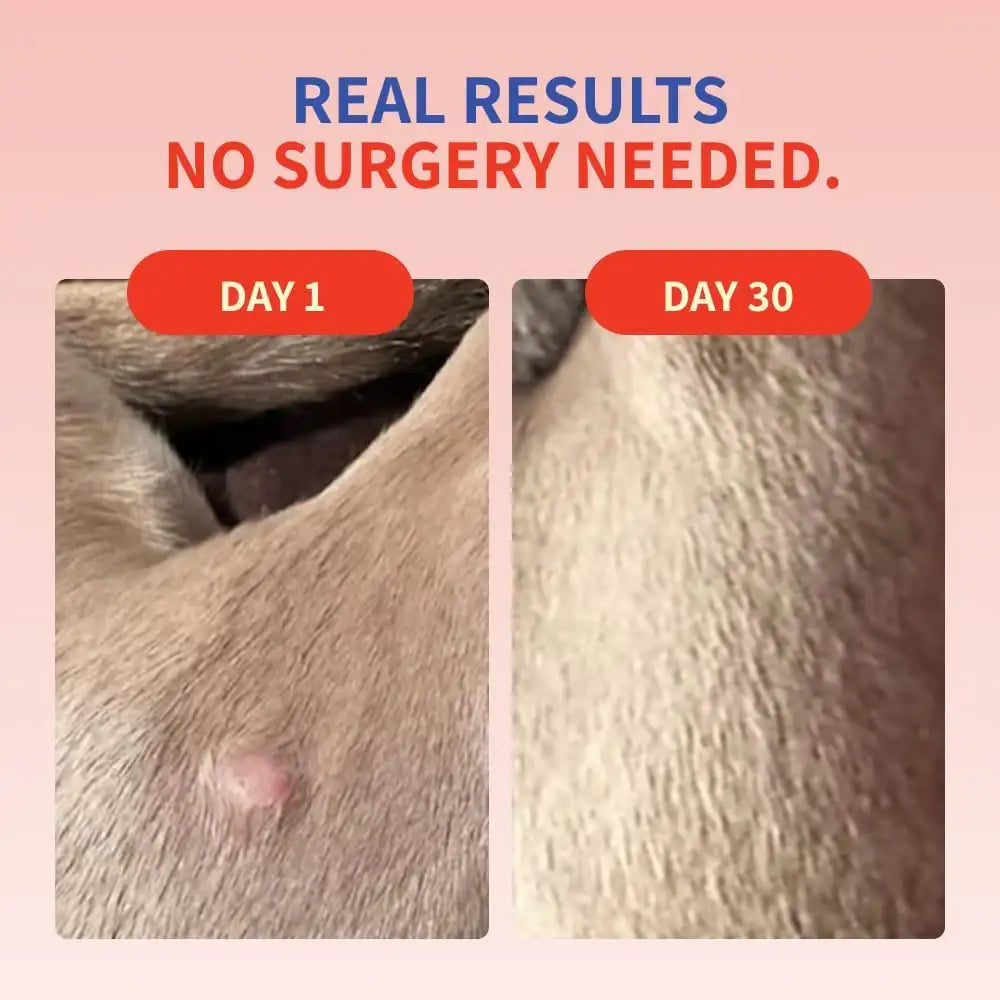 FIFTH & FIDO - Fifth & Fido Turkey Tail Mushroom for Dogs 100 Servicios 105Gr. - The Red Vitamin MX - Suplementos Herbales Para Perros - {{ shop.shopifyCountryName }}