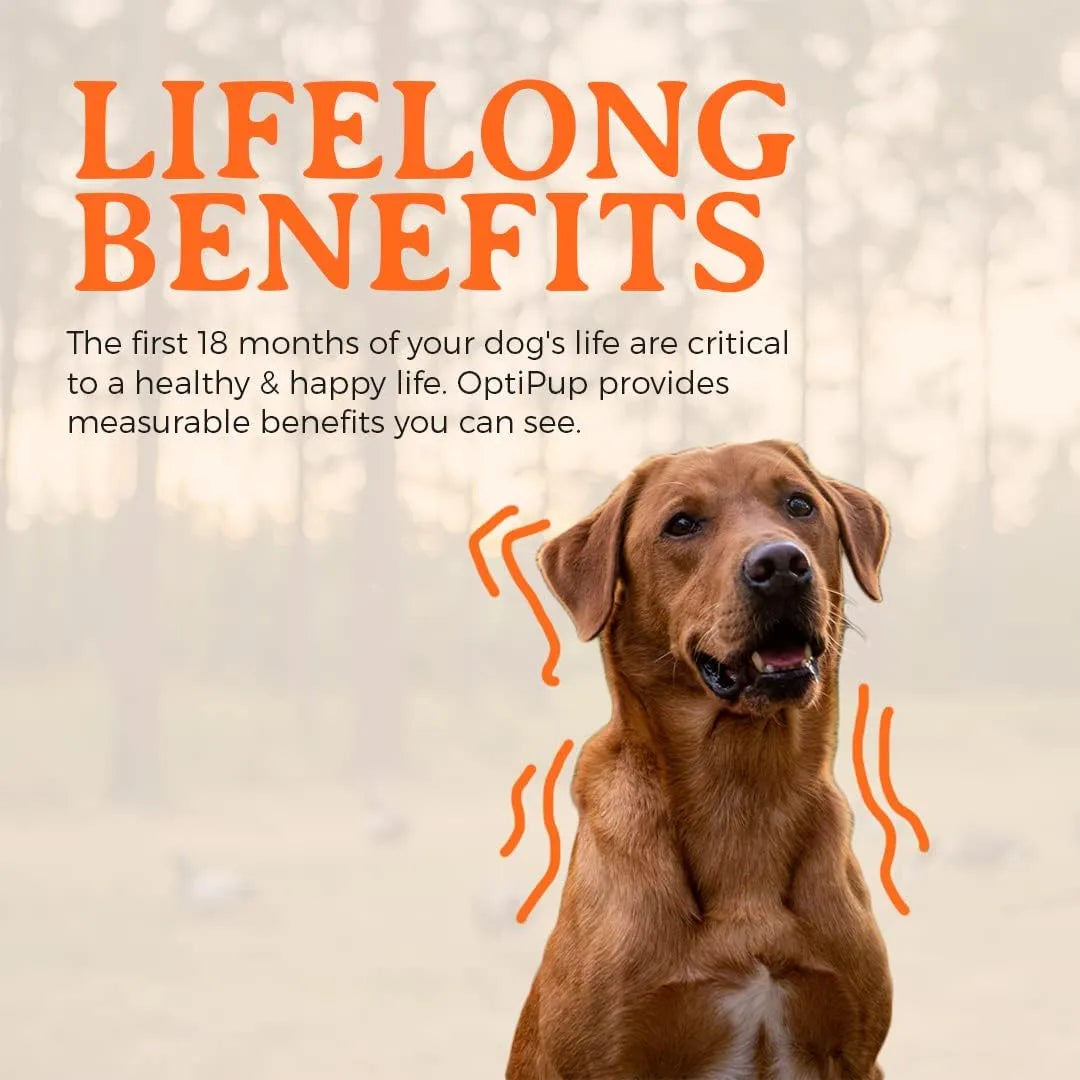 ALPHA DOG NUTRITION - Alpha Dog Nutrition OptiPup All-in-1 Puppy Multivitamin 60 Servicios 304Gr. - The Red Vitamin MX - Multivitamínicos Para Perros - {{ shop.shopifyCountryName }}