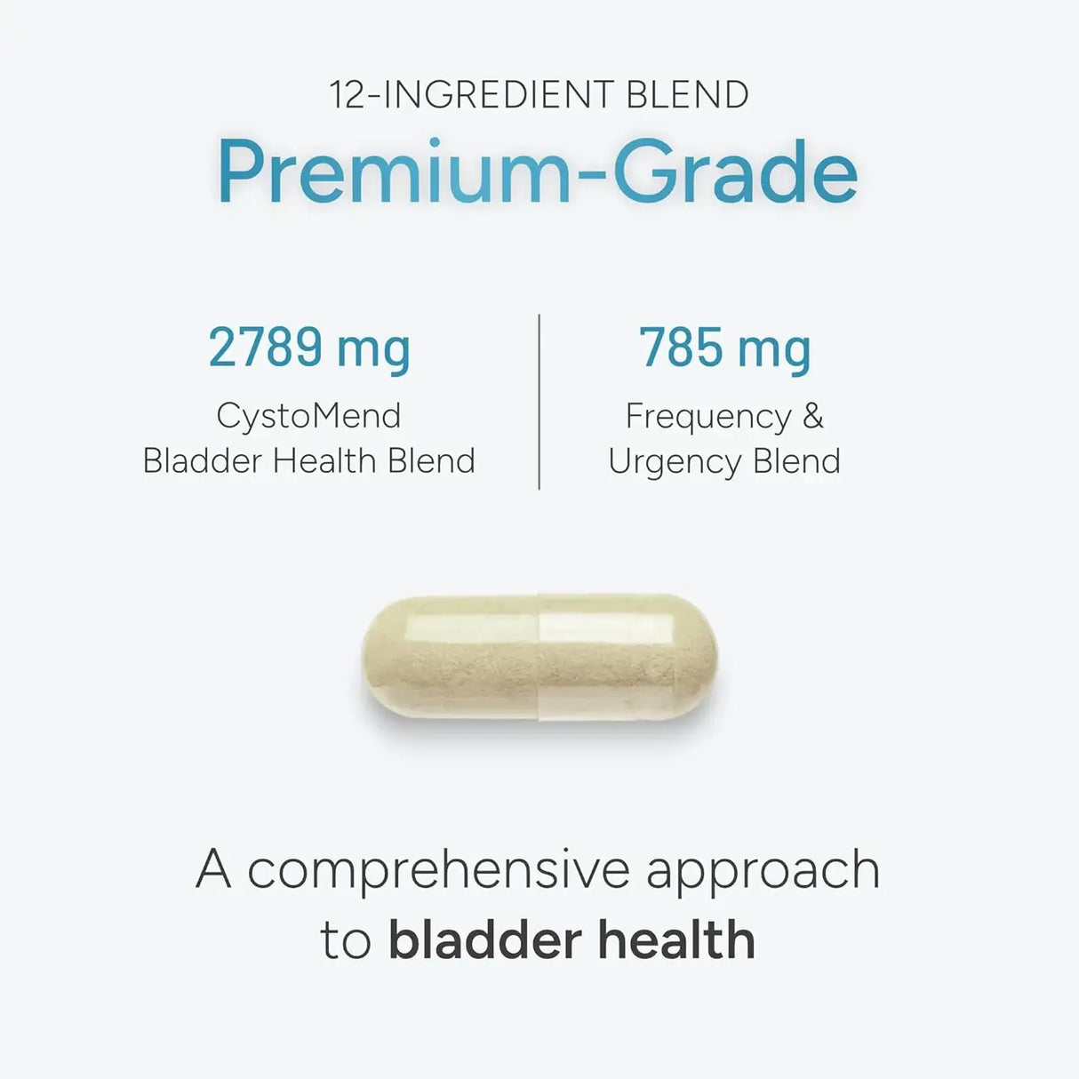 CYSTOMEND - CystoMend Bladder & Pelvic Discomfort Formula 120 Capsulas - The Red Vitamin MX - Supositorios De Ácido Bórico - {{ shop.shopifyCountryName }}