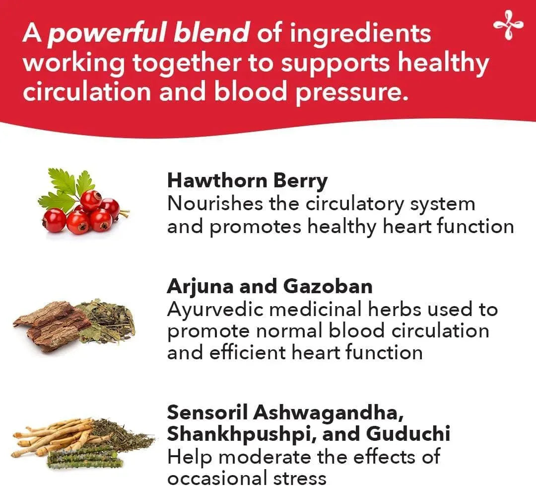 LIFE SEASONS - LifeSeasons B/P Stabili-T Blood Pressure Support 120 Capsulas - The Red Vitamin MX - Suplementos Alimenticios - {{ shop.shopifyCountryName }}