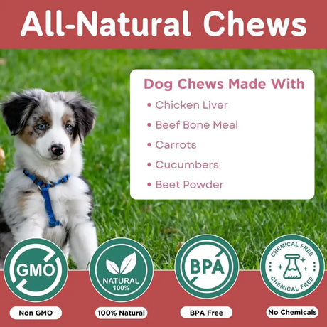 PAWVITAL - PawVital Cranberry Dog UTI Chews with D Mannose 90 Masticables - The Red Vitamin MX - Salud De Tracto Urinario Para Perros - {{ shop.shopifyCountryName }}