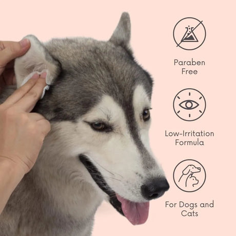 CLEAN PET - Clean Pet Eye & Ear Pet Wipes Rosewater 100 Toallitas - The Red Vitamin MX - Cuidado De Los Ojos De Los Perros - {{ shop.shopifyCountryName }}