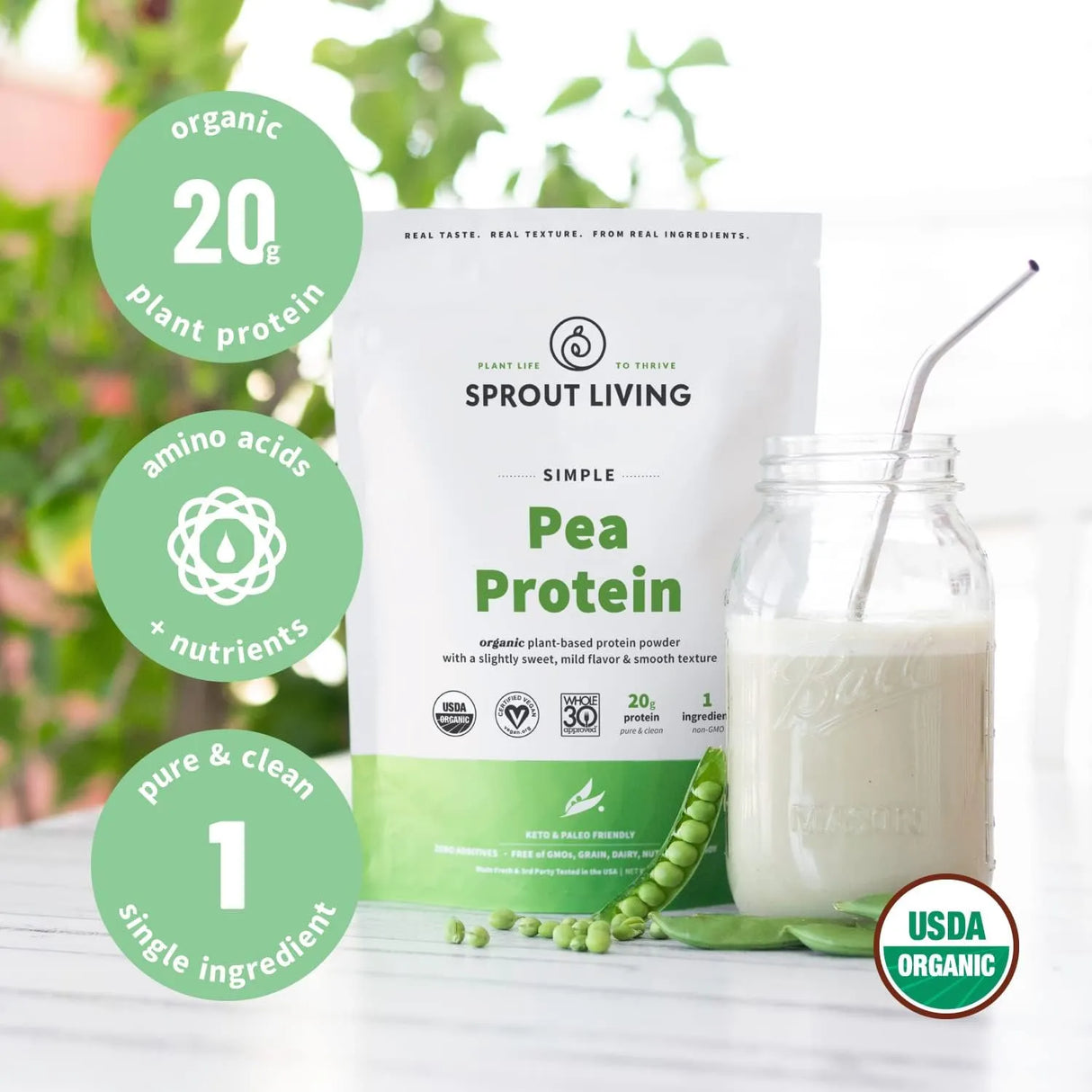 SPROUT LIVING - Sprout Living Organic Pea Protein Powder 454Gr. - The Red Vitamin MX - Suplementos Alimenticios - {{ shop.shopifyCountryName }}