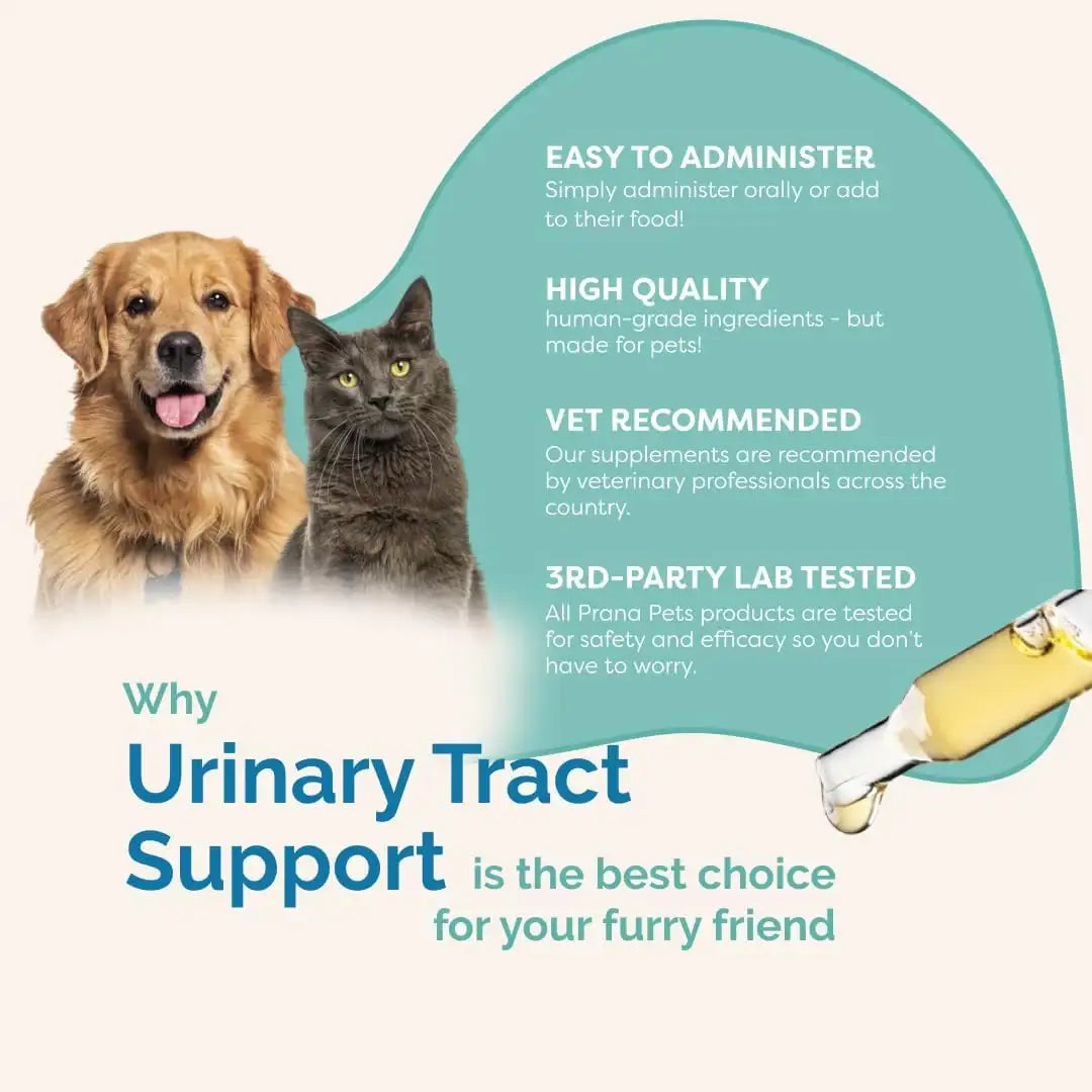 PRANAPETS - PranaPets Urinary Tract Support Liquid Supplement for Pets 2 Fl.Oz. - The Red Vitamin MX - Salud De Tracto Urinario Para Perros - {{ shop.shopifyCountryName }}