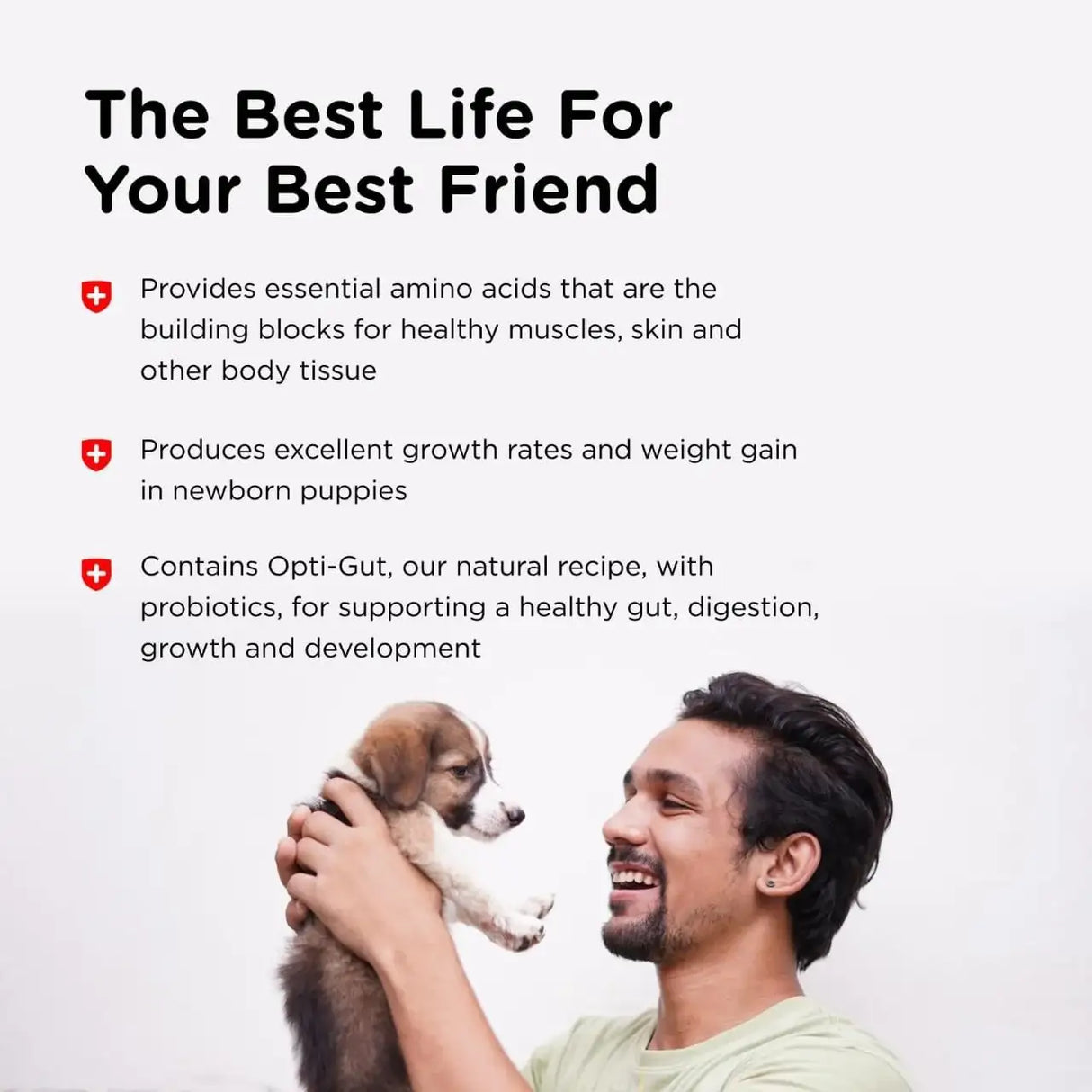 NUTRI-VET - Nutri-Vet Milk Replacer For Puppies 340Gr. - The Red Vitamin MX - Sustitutos De Leche Para Perros - {{ shop.shopifyCountryName }}