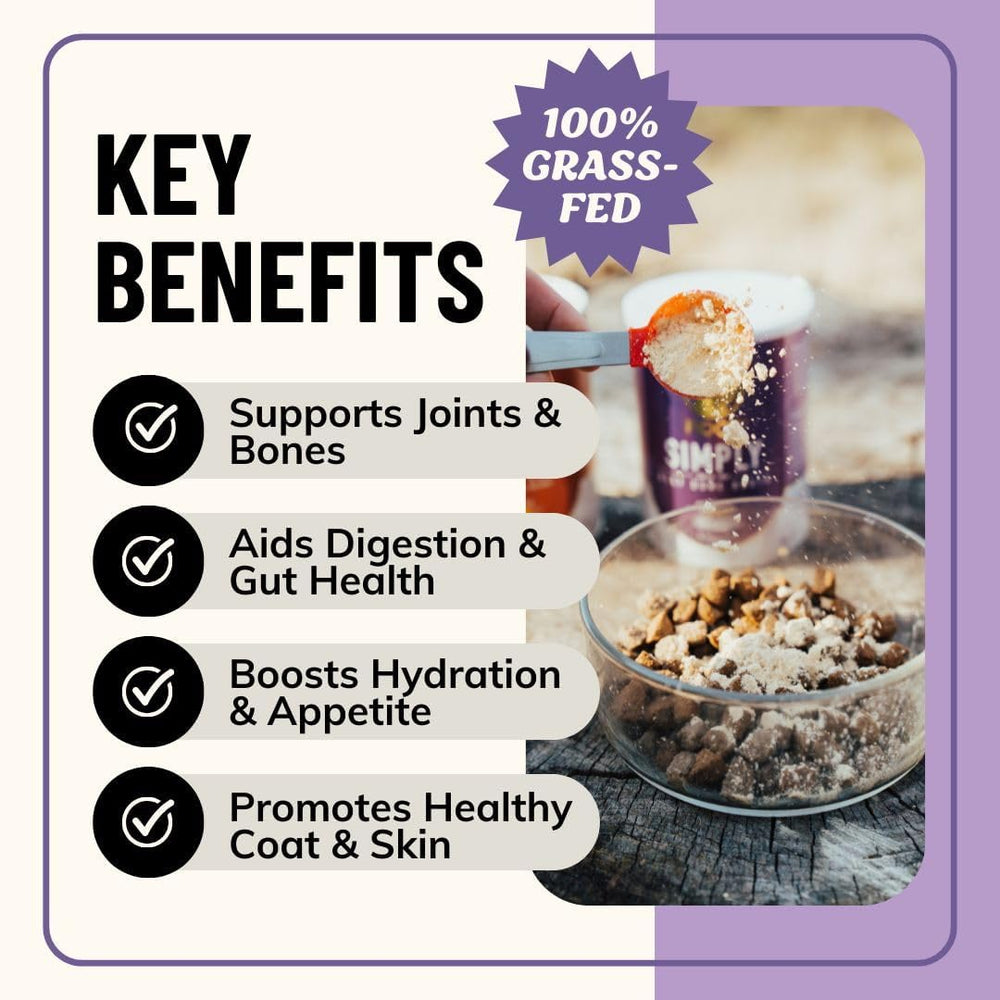 FIDO'S - Fido's Grass-Fed Beef Bone Broth for Dogs 60 Servicios 184Gr. - The Red Vitamin MX - Suplementos Herbales Para Perros - {{ shop.shopifyCountryName }}